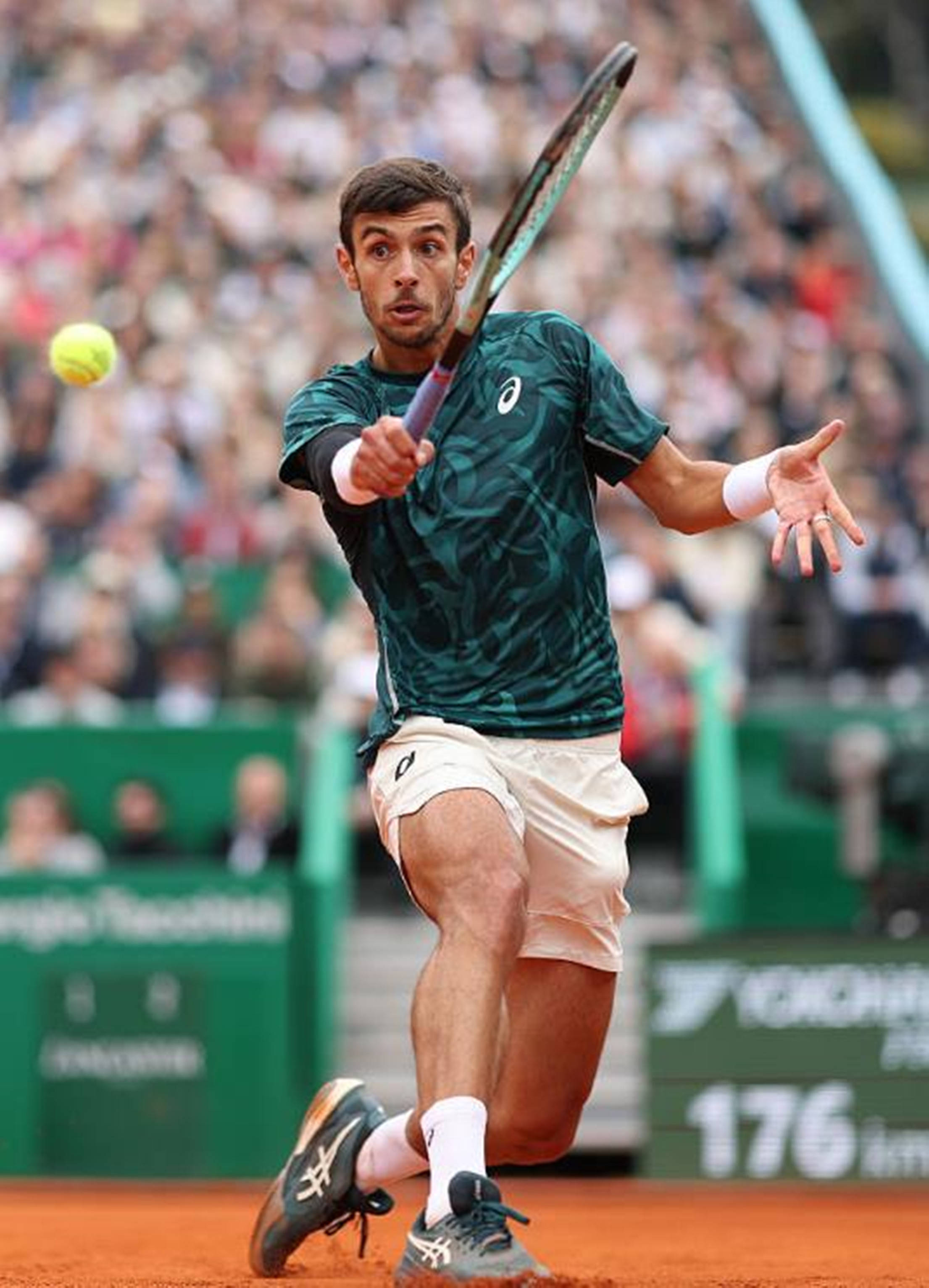 他们凭借团 他们凭借团